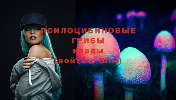хмурый Абинск