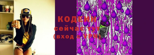 хмурый Абинск
