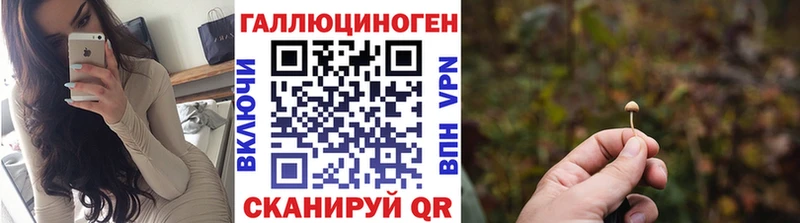 что такое   Яхрома  Псилоцибиновые грибы мицелий 